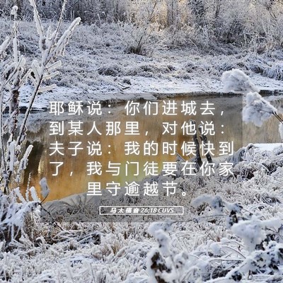 Picture 05 - 马 太 福 音 26:18 CUVS - 耶 稣 说 ： 你 们 进 城 去 ， 到 某 - Bible Verse Picture