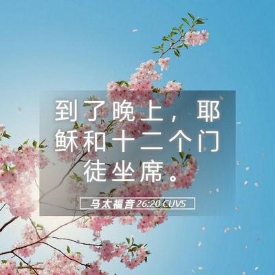 Picture 05 - 马 太 福 音 26:20 CUVS - 到 了 晚 上 ， 耶 稣 和 十 二 个 门 - Bible Verse Picture
