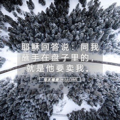 Picture 05 - 马 太 福 音 26:23 CUVS - 耶 稣 回 答 说 ： 同 我 蘸 手 在 盘 - Bible Verse Picture