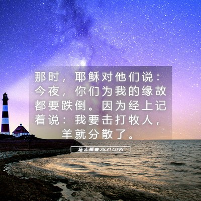 Picture 05 - 马 太 福 音 26:31 CUVS - 那 时 ， 耶 稣 对 他 们 说 ： 今 夜 - Bible Verse Picture