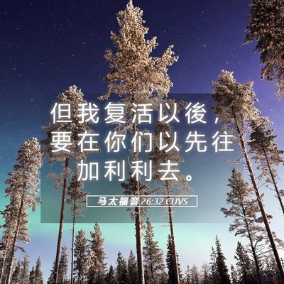 Picture 05 - 马 太 福 音 26:32 CUVS - 但 我 复 活 以 後 ， 要 在 你 们 以 - Bible Verse Picture
