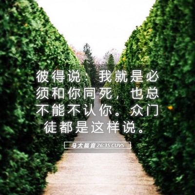 Picture 05 - 马 太 福 音 26:35 CUVS - 彼 得 说 ： 我 就 是 必 须 和 你 同 - Bible Verse Picture