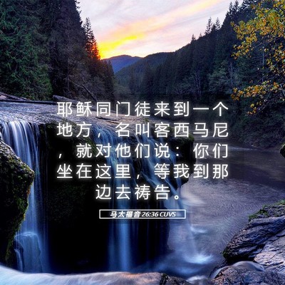 Picture 05 - 马 太 福 音 26:36 CUVS - 耶 稣 同 门 徒 来 到 一 个 地 方 ， - Bible Verse Picture
