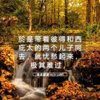 Picture 05 - 马 太 福 音 26:37 CUVS - 於 是 带 着 彼 得 和 西 庇 太 的 两 - Bible Verse Picture