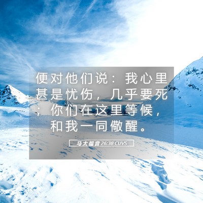Picture 05 - 马 太 福 音 26:38 CUVS - 便 对 他 们 说 ： 我 心 里 甚 是 忧 - Bible Verse Picture