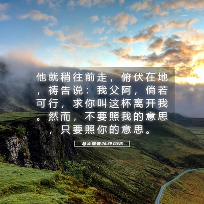 Picture 05 - 马 太 福 音 26:39 CUVS - 他 就 稍 往 前 走 ， 俯 伏 在 地 ， - Bible Verse Picture