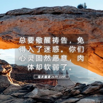 Picture 05 - 马 太 福 音 26:41 CUVS - 总 要 儆 醒 祷 告 ， 免 得 入 了 迷 - Bible Verse Picture