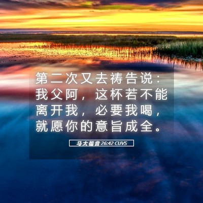 Picture 05 - 马 太 福 音 26:42 CUVS - 第 二 次 又 去 祷 告 说 ： 我 父 阿 - Bible Verse Picture