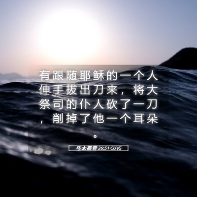 Picture 05 - 马 太 福 音 26:51 CUVS - 有 跟 随 耶 稣 的 一 个 人 伸 手 拔 - Bible Verse Picture