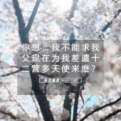 Picture 05 - 马 太 福 音 26:53 CUVS - 你 想 ， 我 不 能 求 我 父 现 在 为 - Bible Verse Picture
