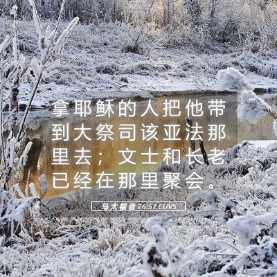 Picture 05 - 马 太 福 音 26:57 CUVS - 拿 耶 稣 的 人 把 他 带 到 大 祭 司 - Bible Verse Picture
