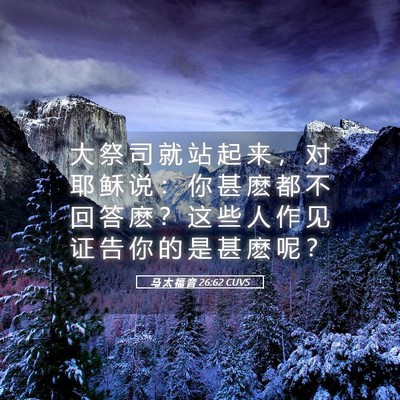 Picture 05 - 马 太 福 音 26:62 CUVS - 大 祭 司 就 站 起 来 ， 对 耶 稣 说 - Bible Verse Picture