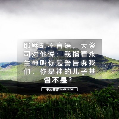 Picture 05 - 马 太 福 音 26:63 CUVS - 耶 稣 却 不 言 语 。 大 祭 司 对 他 - Bible Verse Picture