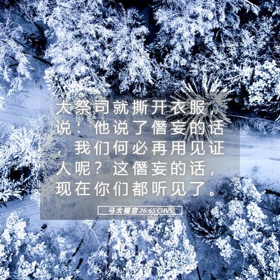 Picture 05 - 马 太 福 音 26:65 CUVS - 大 祭 司 就 撕 开 衣 服 ， 说 ： 他 - Bible Verse Picture