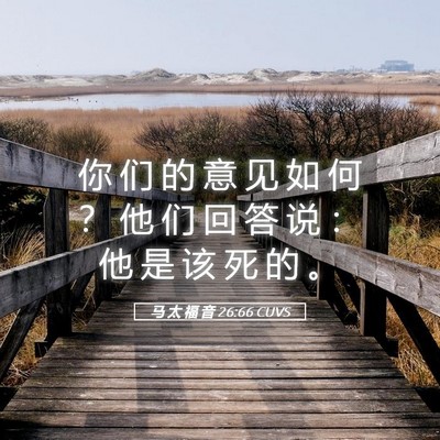 Picture 05 - 马 太 福 音 26:66 CUVS - 你 们 的 意 见 如 何 ？ 他 们 回 答 - Bible Verse Picture