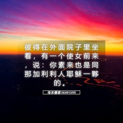 Picture 05 - 马 太 福 音 26:69 CUVS - 彼 得 在 外 面 院 子 里 坐 着 ， 有 - Bible Verse Picture