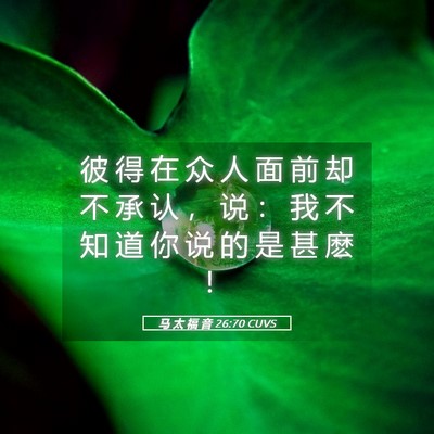 Picture 05 - 马 太 福 音 26:70 CUVS - 彼 得 在 众 人 面 前 却 不 承 认 ， - Bible Verse Picture