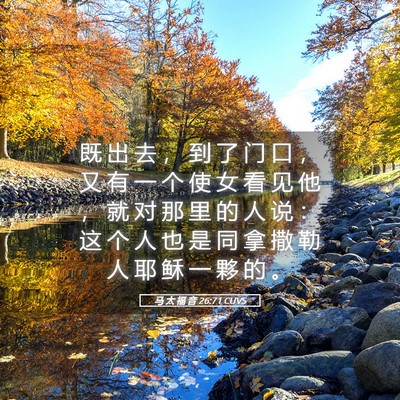 Picture 05 - 马 太 福 音 26:71 CUVS - 既 出 去 ， 到 了 门 口 ， 又 有 一 - Bible Verse Picture