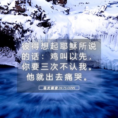Picture 05 - 马 太 福 音 26:75 CUVS - 彼 得 想 起 耶 稣 所 说 的 话 ： 鸡 - Bible Verse Picture