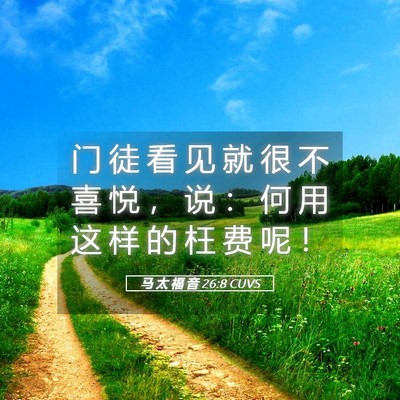 Picture 05 - 马 太 福 音 26:8 CUVS - 门 徒 看 见 就 很 不 喜 悦 ， 说 ： - Bible Verse Picture