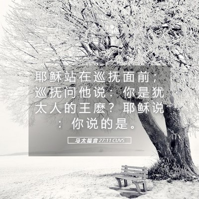 Picture 05 - 马 太 福 音 27:11 CUVS - 耶 稣 站 在 巡 抚 面 前 ； 巡 抚 问 - Bible Verse Picture