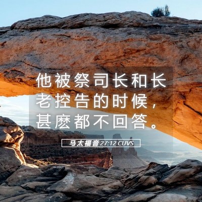 Picture 05 - 马 太 福 音 27:12 CUVS - 他 被 祭 司 长 和 长 老 控 告 的 时 - Bible Verse Picture
