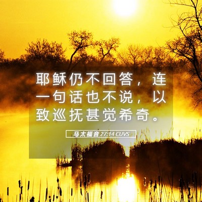 Picture 05 - 马 太 福 音 27:14 CUVS - 耶 稣 仍 不 回 答 ， 连 一 句 话 也 - Bible Verse Picture