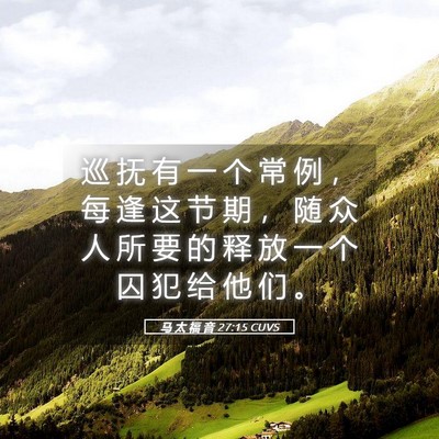 Picture 05 - 马 太 福 音 27:15 CUVS - 巡 抚 有 一 个 常 例 ， 每 逢 这 节 - Bible Verse Picture