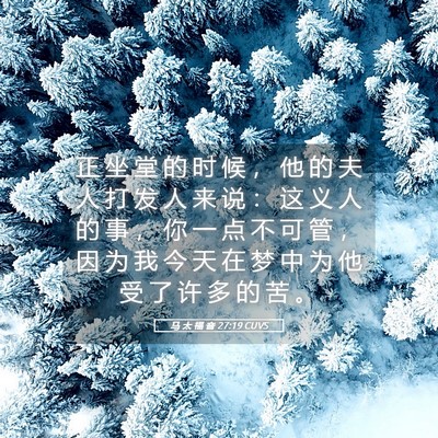 Picture 05 - 马 太 福 音 27:19 CUVS - 正 坐 堂 的 时 候 ， 他 的 夫 人 打 - Bible Verse Picture