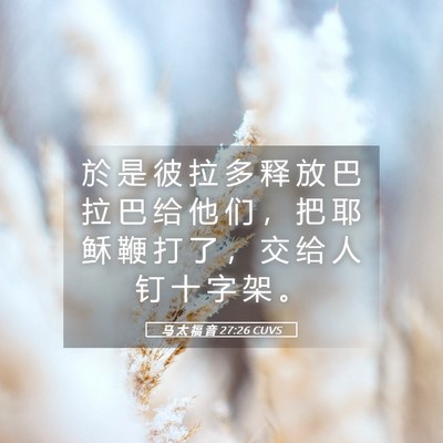 Picture 05 - 马 太 福 音 27:26 CUVS - 於 是 彼 拉 多 释 放 巴 拉 巴 给 他 - Bible Verse Picture