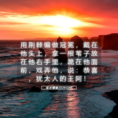 Picture 05 - 马 太 福 音 27:29 CUVS - 用 荆 棘 编 做 冠 冕 ， 戴 在 他 头 - Bible Verse Picture