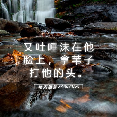 Picture 05 - 马 太 福 音 27:30 CUVS - 又 吐 唾 沫 在 他 脸 上 ， 拿 苇 子 - Bible Verse Picture