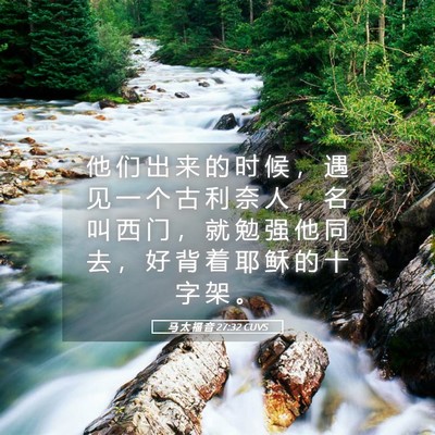 Picture 05 - 马 太 福 音 27:32 CUVS - 他 们 出 来 的 时 候 ， 遇 见 一 个 - Bible Verse Picture