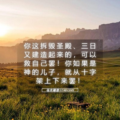 Picture 05 - 马 太 福 音 27:40 CUVS - 你 这 拆 毁 圣 殿 、 三 日 又 建 造 - Bible Verse Picture