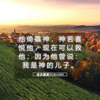 Picture 05 - 马 太 福 音 27:43 CUVS - 他 倚 靠 神 ， 神 若 喜 悦 他 ， 现 - Bible Verse Picture