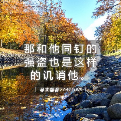 Picture 05 - 马 太 福 音 27:44 CUVS - 那 和 他 同 钉 的 强 盗 也 是 这 样 - Bible Verse Picture