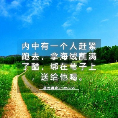 Picture 05 - 马 太 福 音 27:48 CUVS - 内 中 有 一 个 人 赶 紧 跑 去 ， 拿 - Bible Verse Picture
