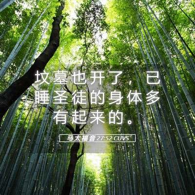 Picture 05 - 马 太 福 音 27:52 CUVS - 坟 墓 也 开 了 ， 已 睡 圣 徒 的 身 - Bible Verse Picture
