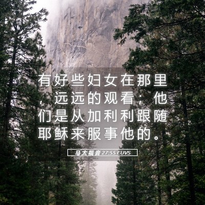 Picture 05 - 马 太 福 音 27:55 CUVS - 有 好 些 妇 女 在 那 里 ， 远 远 的 - Bible Verse Picture