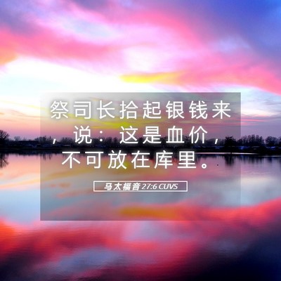Picture 05 - 马 太 福 音 27:6 CUVS - 祭 司 长 拾 起 银 钱 来 ， 说 ： 这 - Bible Verse Picture