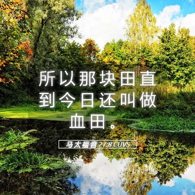 Picture 05 - 马 太 福 音 27:8 CUVS - 所 以 那 块 田 直 到 今 日 还 叫 做 - Bible Verse Picture