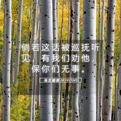 Picture 05 - 马 太 福 音 28:14 CUVS - 倘 若 这 话 被 巡 抚 听 见 ， 有 我 - Bible Verse Picture