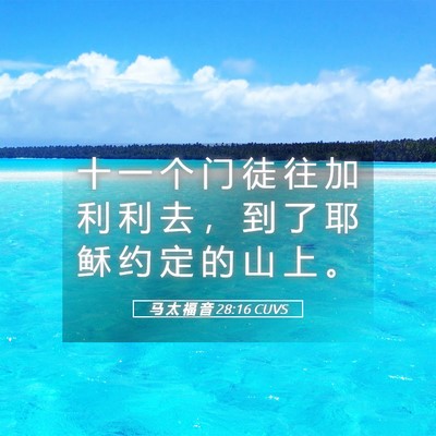 Picture 05 - 马 太 福 音 28:16 CUVS - 十 一 个 门 徒 往 加 利 利 去 ， 到 - Bible Verse Picture