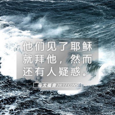 Picture 05 - 马 太 福 音 28:17 CUVS - 他 们 见 了 耶 稣 就 拜 他 ， 然 而 - Bible Verse Picture