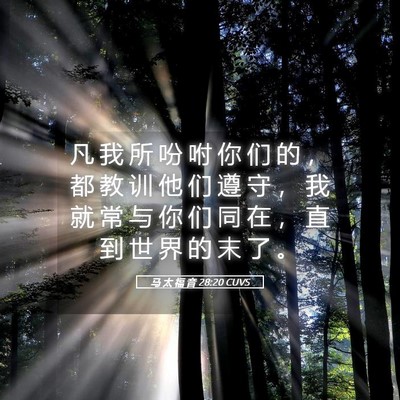 Picture 05 - 马 太 福 音 28:20 CUVS - 凡 我 所 吩 咐 你 们 的 ， 都 教 训 - Bible Verse Picture