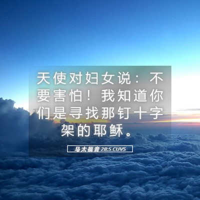 Picture 05 - 马 太 福 音 28:5 CUVS - 天 使 对 妇 女 说 ： 不 要 害 怕 ！ - Bible Verse Picture