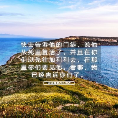 Picture 05 - 马 太 福 音 28:7 CUVS - 快 去 告 诉 他 的 门 徒 ， 说 他 从 - Bible Verse Picture