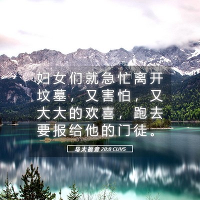 Picture 05 - 马 太 福 音 28:8 CUVS - 妇 女 们 就 急 忙 离 开 坟 墓 ， 又 - Bible Verse Picture