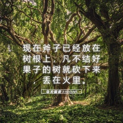 Picture 05 - 马 太 福 音 3:10 CUVS - 现 在 斧 子 已 经 放 在 树 根 上 ， - Bible Verse Picture