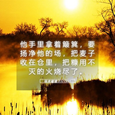 Picture 05 - 马 太 福 音 3:12 CUVS - 他 手 里 拿 着 簸 箕 ， 要 扬 净 他 - Bible Verse Picture